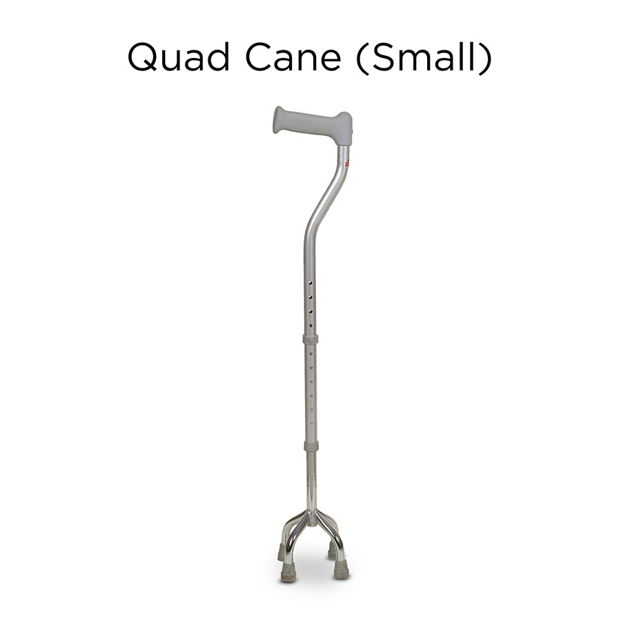 Quad Cane (Small)